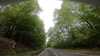 20210526-GXAA0664-frame0002.jpg