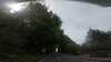 20210526-GXAA0665-frame0003.jpg