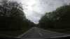 20210526-GXAB0680-frame0003.jpg