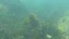 20210527-00010-frame0003.jpg