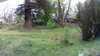 20210528-130402A-frame0001.jpg