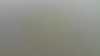 20210605-140349A-frame0003.jpg