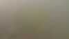 20210605-142348A-frame0004.jpg