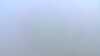 20210605-142348A-frame0005.jpg