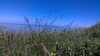 20210605-144441A-frame0005.jpg