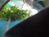 20210717-GH010732-frame0009.jpg