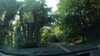 20210717-GXAC0747-frame0004.jpg