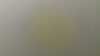 20210719-040541A-frame0001.jpg