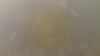20210719-040541A-frame0003.jpg