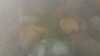 20210719-040541A-frame0004.jpg