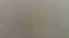 20210719-041041A-frame0005.jpg