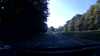 20210719-061513A-frame0004.jpg