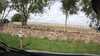 20210812-GXAB0822-frame0001.jpg