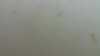 20210821-114727A-frame0004.jpg