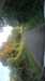 20210914-GXAE0904-frame0004.jpg