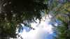 20210917-GXAE1028-frame0005.jpg