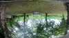 20210918-GXAB1032-frame0002.jpg
