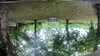 20210918-GXAB1032-frame0003.jpg