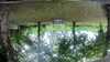20210918-GXAB1032-frame0004.jpg