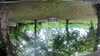 20210918-GXAB1033-frame0001.jpg