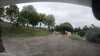 20210918-GXAC1037-frame0005.jpg