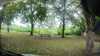 20210919-GXAC1045-frame0005.jpg