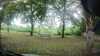 20210919-GXAC1046-frame0005.jpg