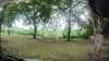20210919-GXAC1047-frame0001.jpg