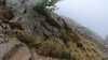 20210921-GXAB1133-frame0004.jpg