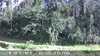 2021-09-24:wildlife pm
