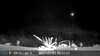 2021-09-25:wildlife am
