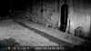 2021-10-14:Wildlife
