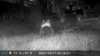2021-10-17:Wildlife
